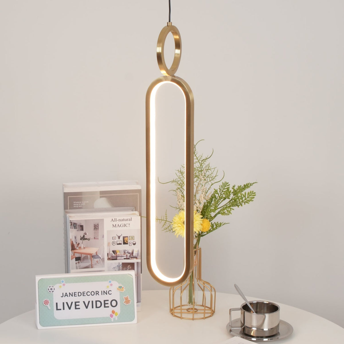 Led Oval Linear Pendant Light
