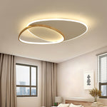 Oval Simple LED Ceiling Light