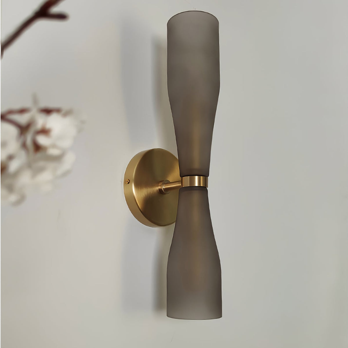 Ovalo Duo Modern Smoked Glass Wall Sconce with Brass Backplate