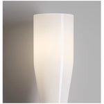 Ovalo Duo Modern Smoked Glass Wall Sconce with Brass Backplate