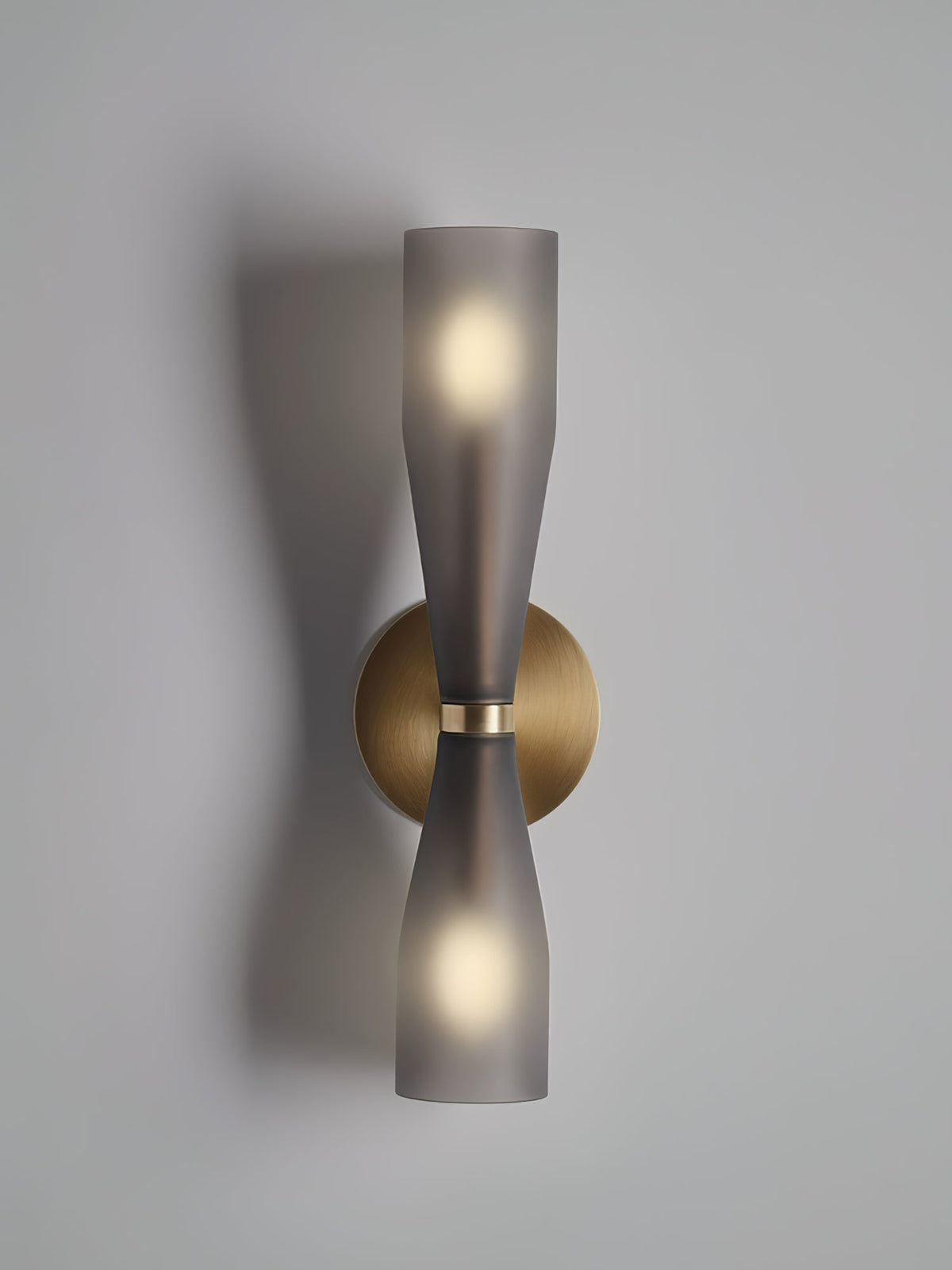 Ovalo Duo Modern Smoked Glass Wall Sconce with Brass Backplate