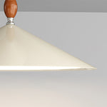 palefire-pendant-light