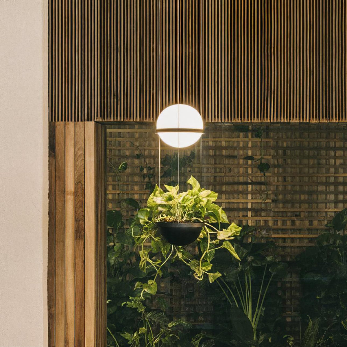 palma-pendant-lamp