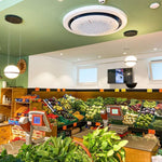 palma-pendant-lamp