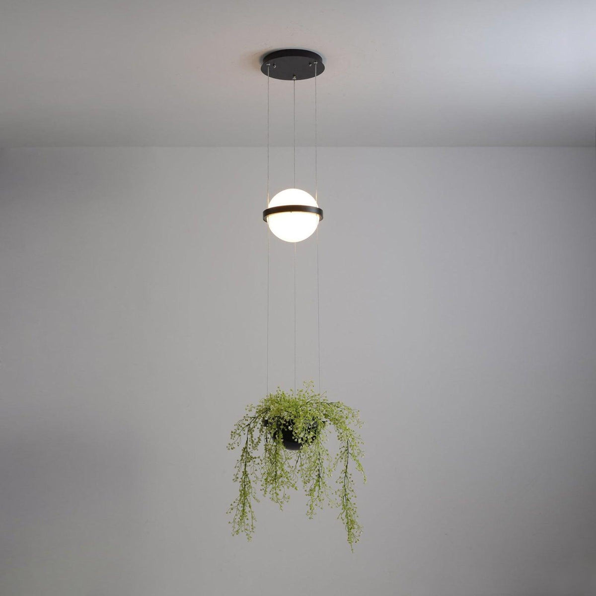 palma-pendant-lamp