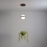palma-pendant-lamp