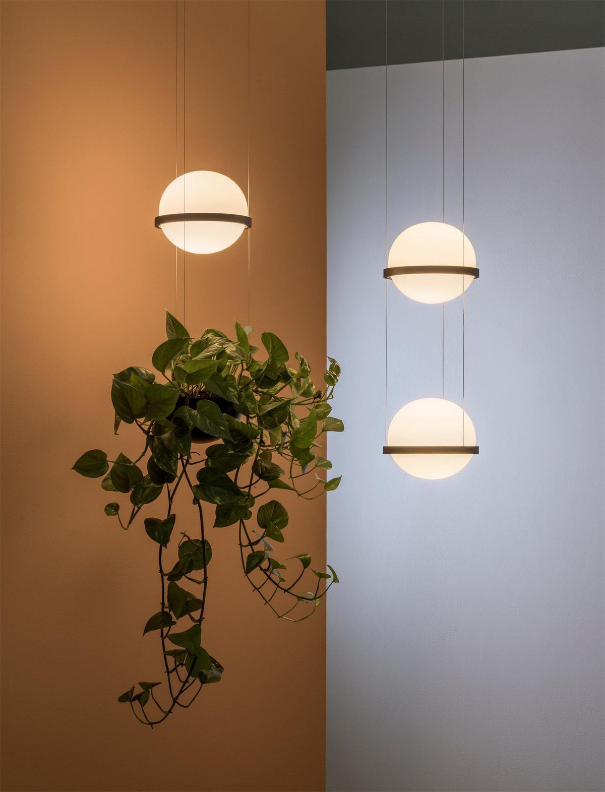 palma-pendant-lamp