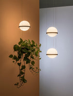 palma-pendant-lamp