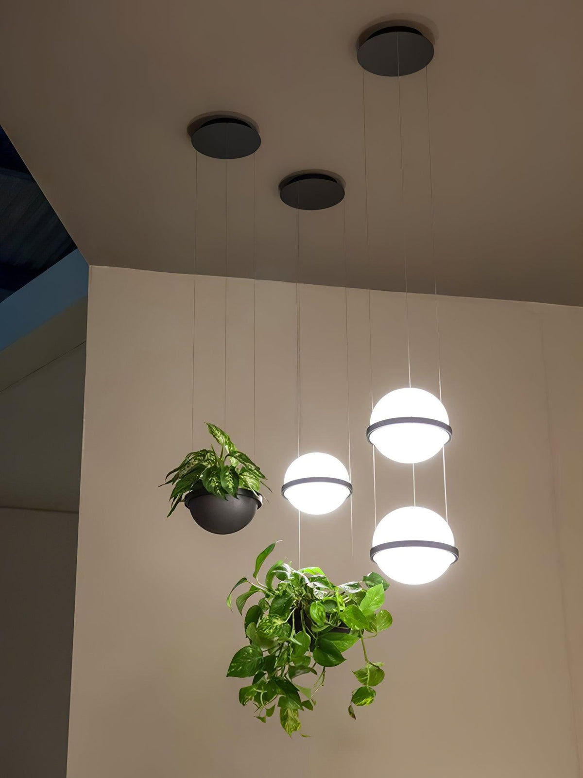 palma-pendant-lamp