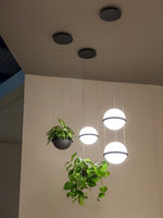 palma-pendant-lamp
