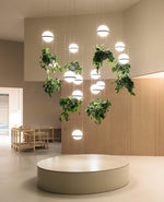 palma-pendant-lamp