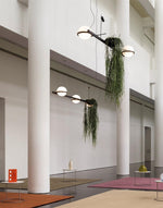 palma-pendant-lamp