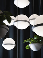 palma-pendant-lamp