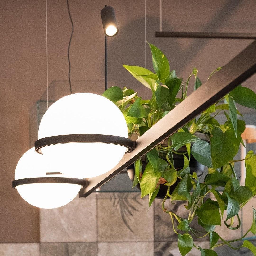 palma-pendant-lamp