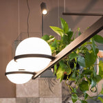 palma-pendant-lamp