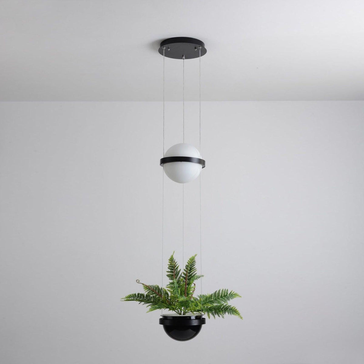 palma-pendant-lamp