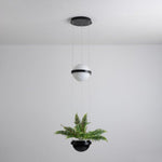 palma-pendant-lamp