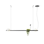 palma-pendant-lamp