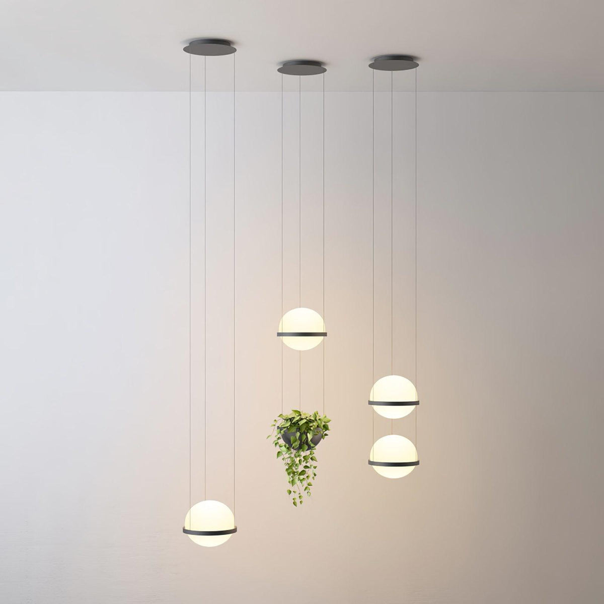 palma-pendant-lamp