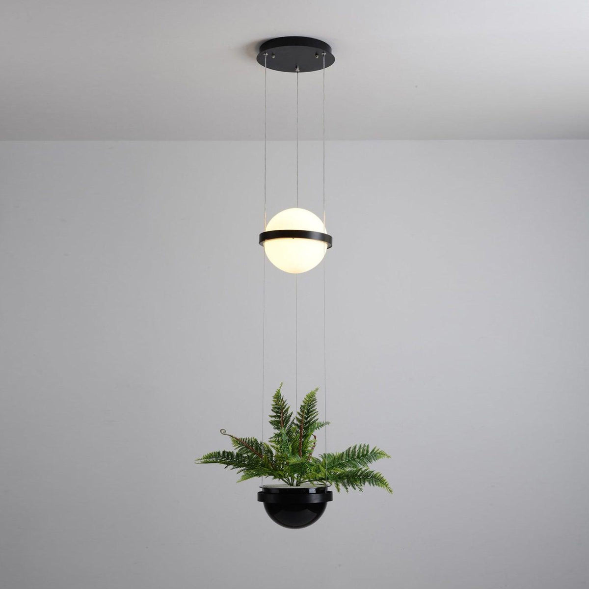 palma-pendant-lamp