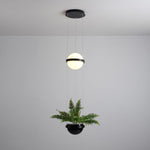palma-pendant-lamp