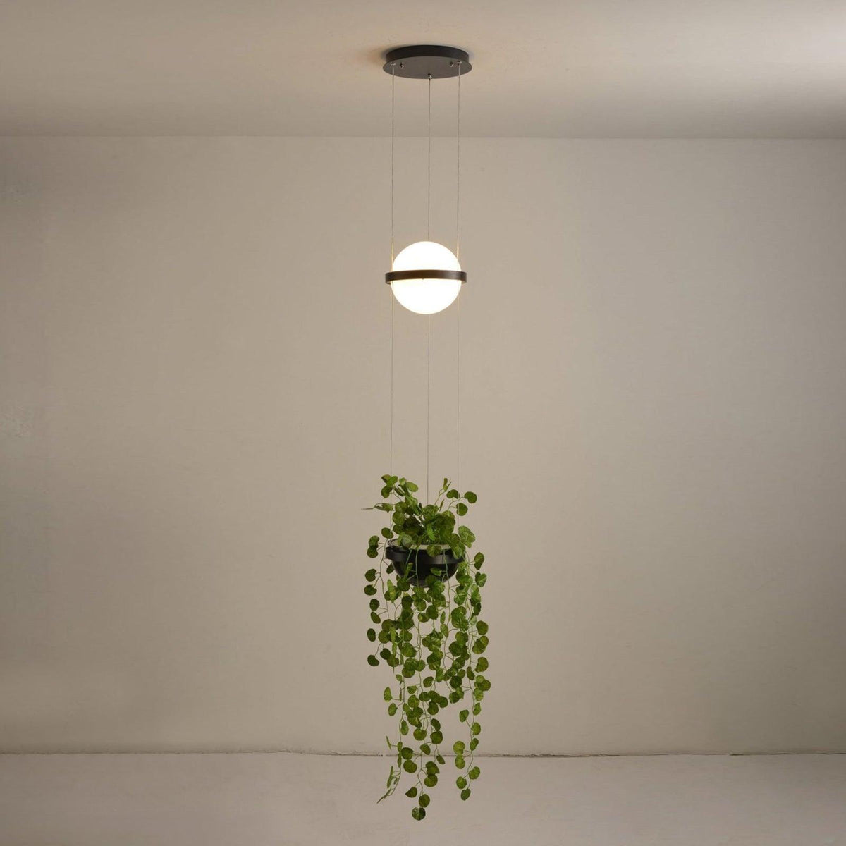 palma-pendant-lamp