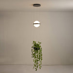 palma-pendant-lamp