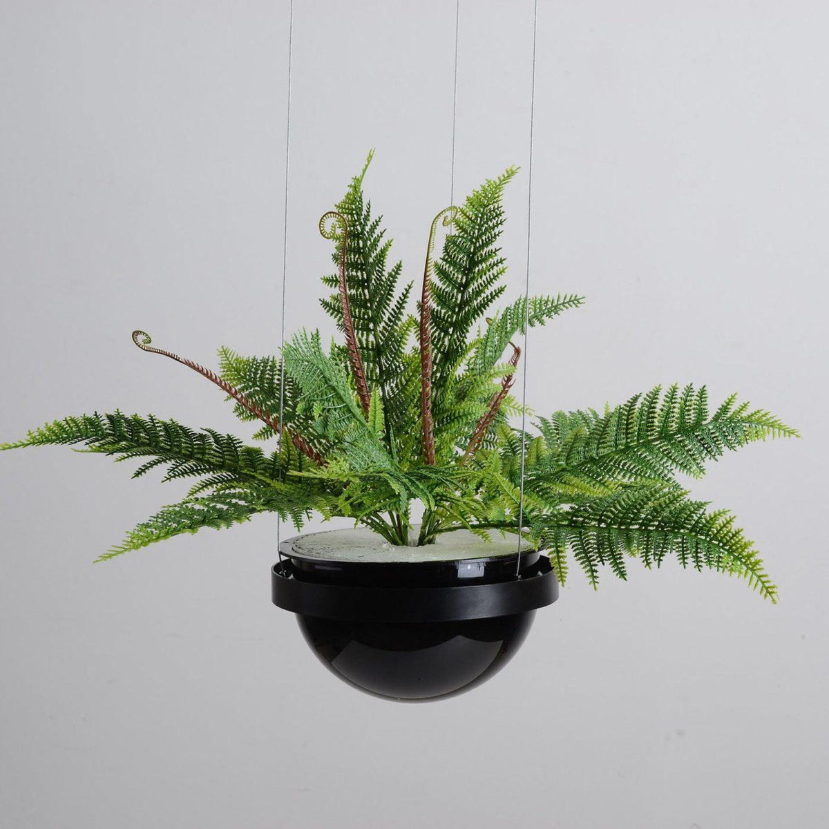 palma-pendant-lamp