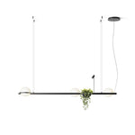 Orbit Sphere Pendant Lamp
