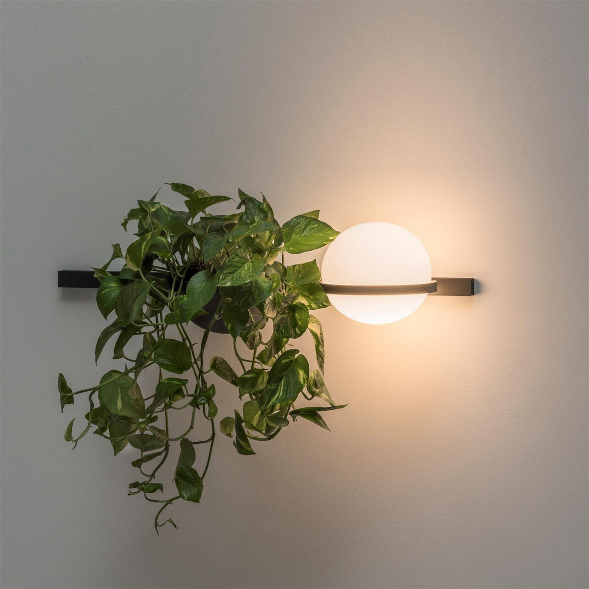 palma-wall-lamp