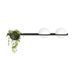 Solstice Wall Light
