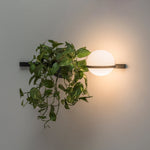 Solstice Wall Light