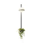 Solstice Orb Wall Light – Modern LED Sconce for Indoor & Outdoor Spaces