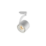 Paloma Modern LED Linear Ceiling Light in Black or White