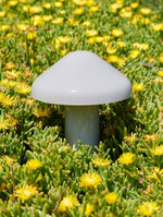 pao-portable-table-lamp
