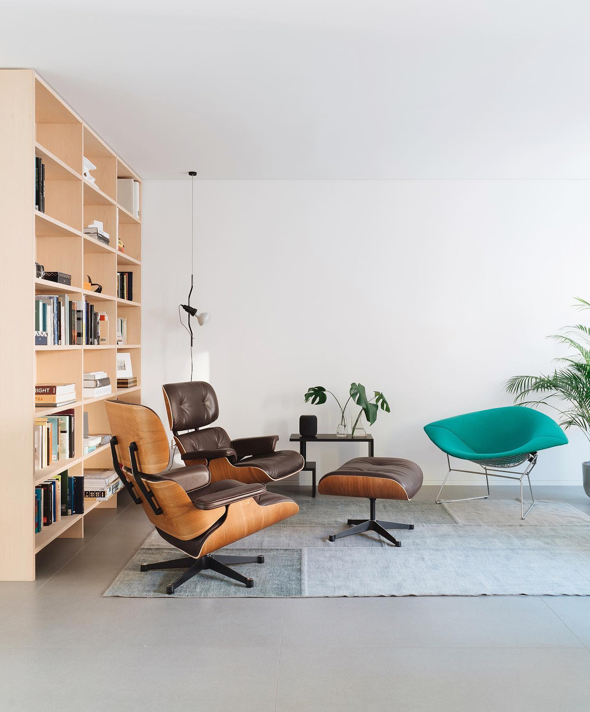 parentesi-pendant-light