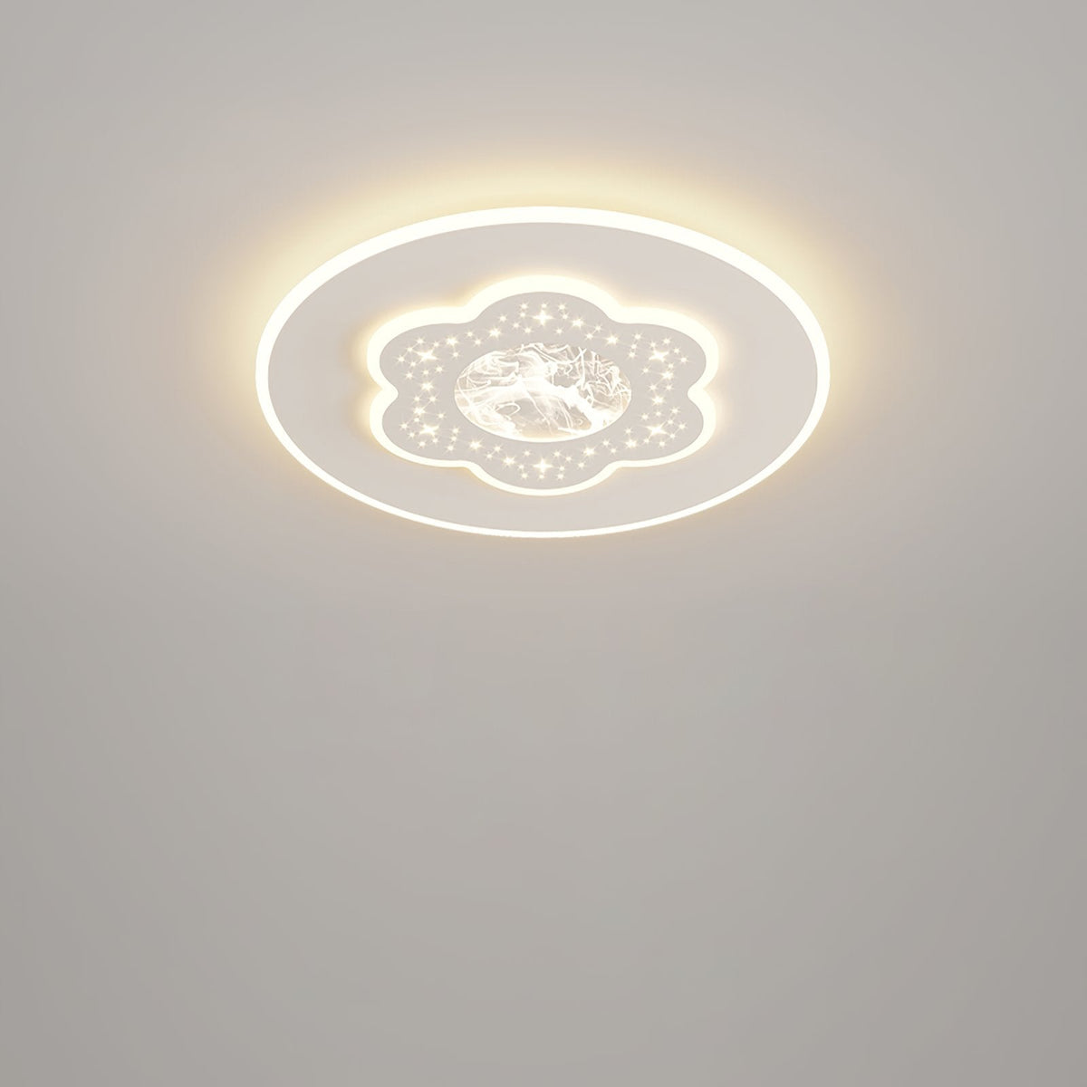 Parfco Ceiling Lamp