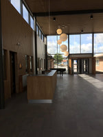 Patera Pendant Light