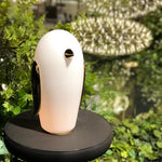 Pet Light