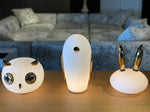 Pet Light