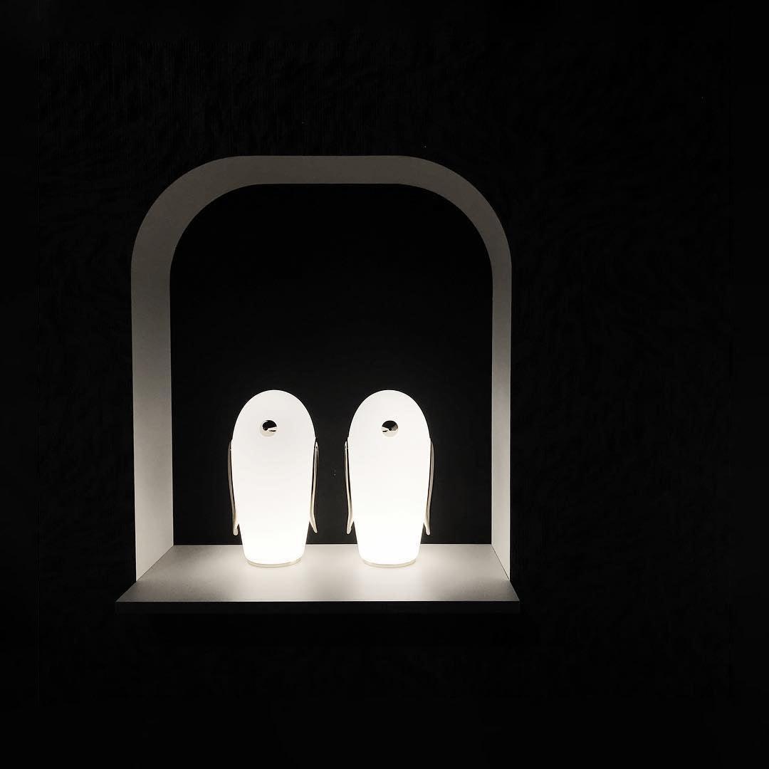 Pet Light