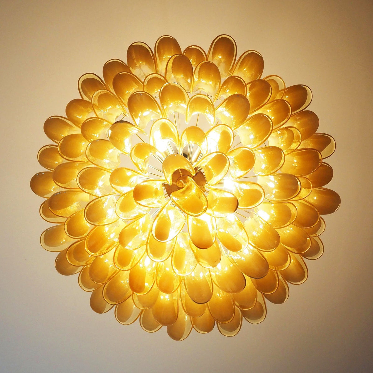 Amber Glass Petal Chandelier for Dining Room and Living Room