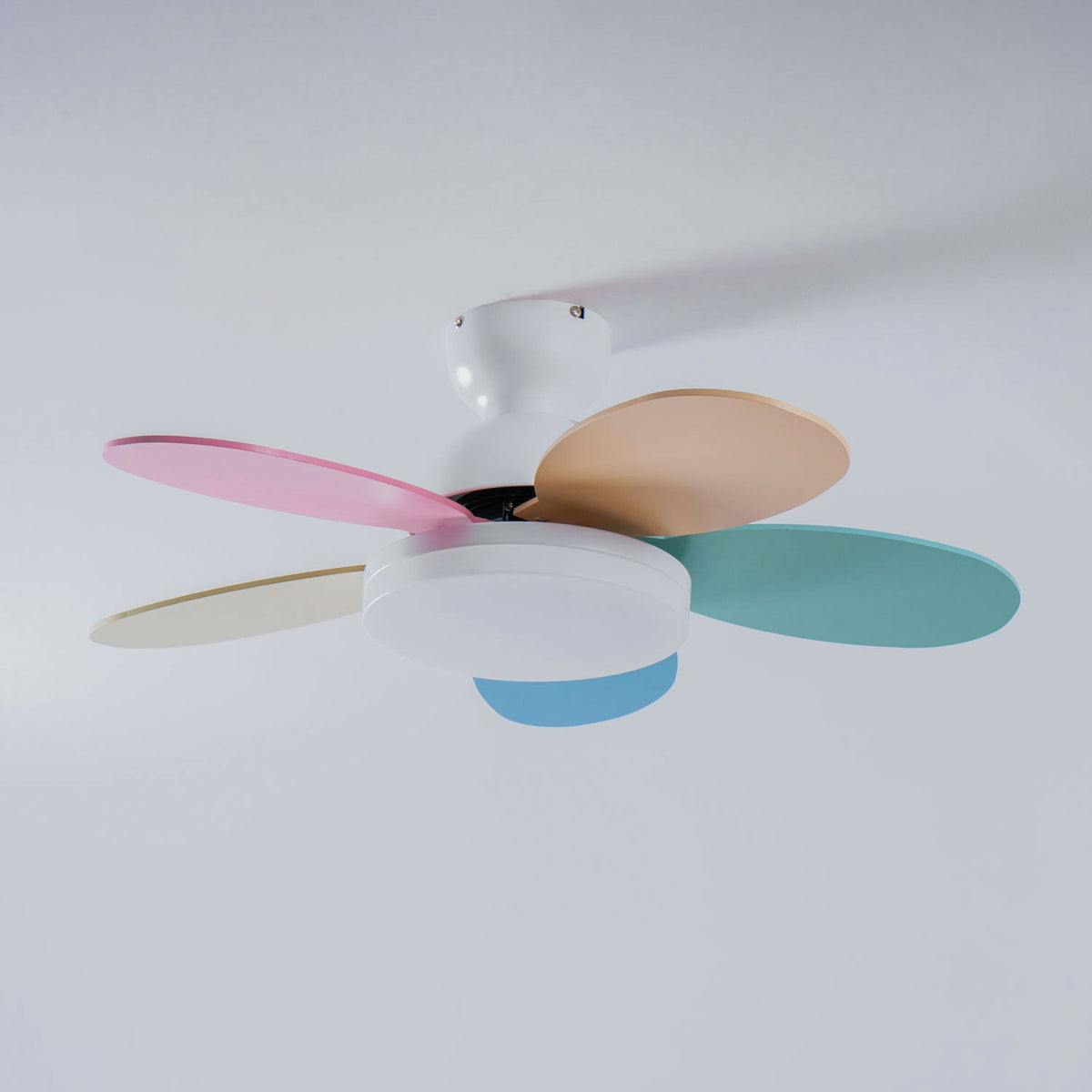 Petalo Six-Blade Wooden Ceiling Fan with Integrated LED Light