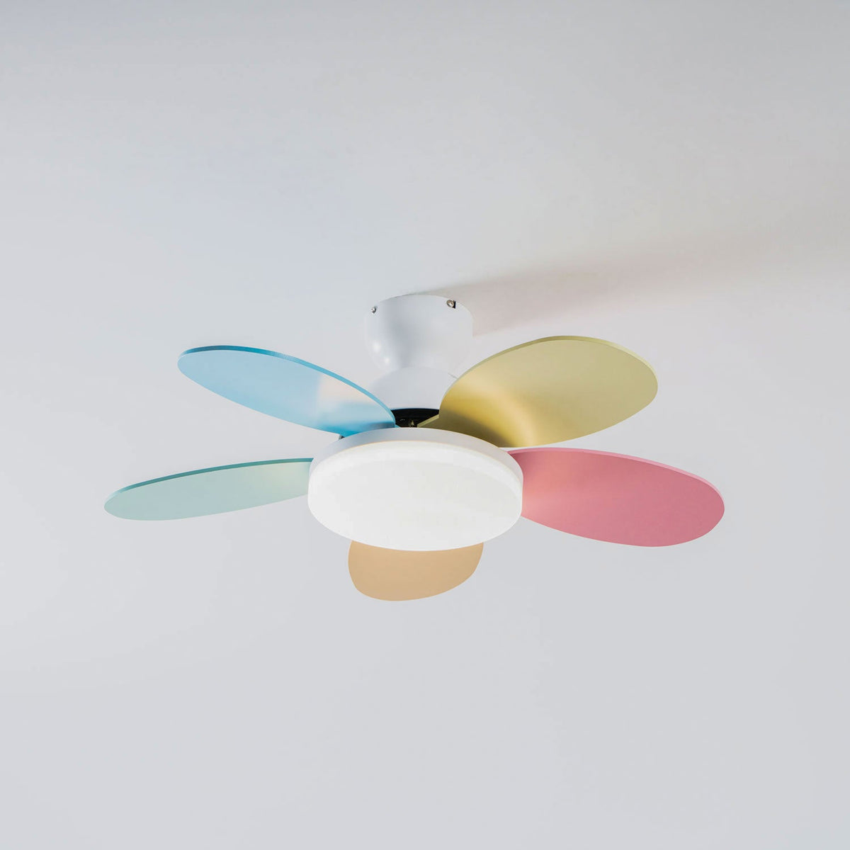 Petalo Six-Blade Wooden Ceiling Fan with Integrated LED Light
