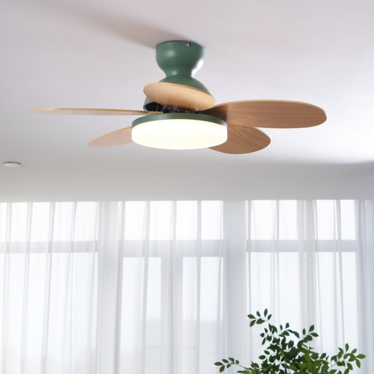 Petalo Six-Blade Wooden Ceiling Fan with Integrated LED Light