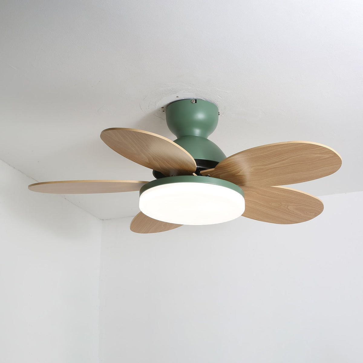 Petalo Six-Blade Wooden Ceiling Fan with Integrated LED Light