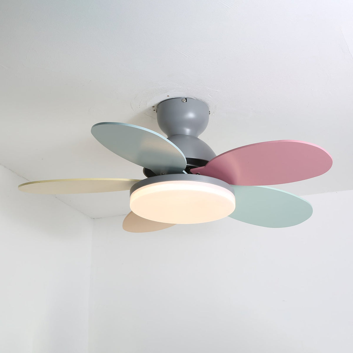 Petalo Six-Blade Wooden Ceiling Fan with Integrated LED Light