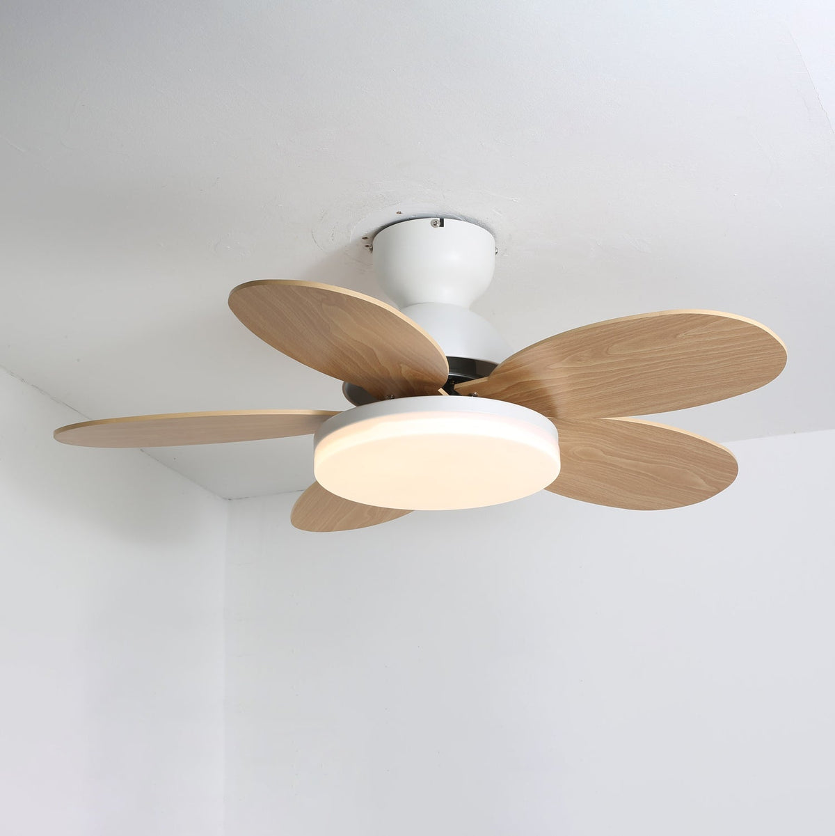 Petalo Six-Blade Wooden Ceiling Fan with Integrated LED Light