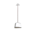 ruskin-carrie-chandelier