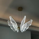 Phalaenopsis Chandelier